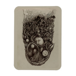 Imán Asalto psicológico