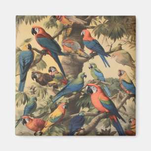 Imán Asamblea de aves y ensamblaje de dosel tropical