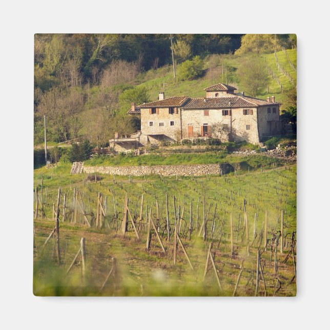 Imán Aschuito, una granja en funcionamiento que acepta  (Frente)