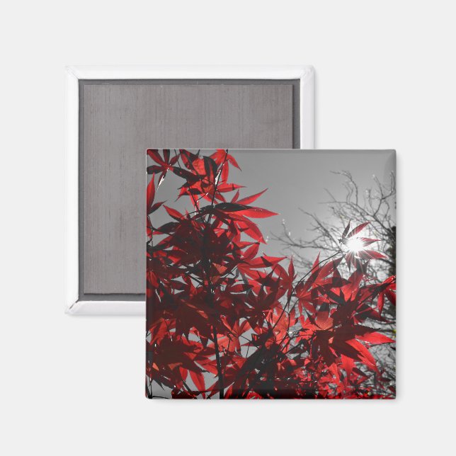 Imán Ascuas de Otoño (Anverso/Reverso)