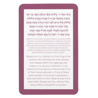 Imán Asher Yatzar Hebrew Bendeciendo al Poster rosado a