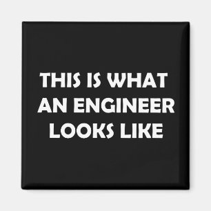 Imán Así es como se ve un ingeniero