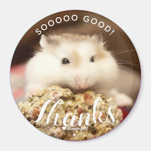 Imán Así que buen golpe blanco Robo Hamster