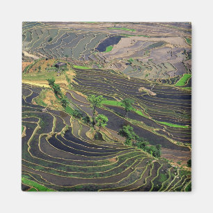 Imán Asia, China, Yunnan, Honghe. Terrazas de arroz cer