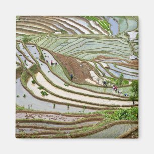 Imán Asia, China, Yunnan, Jinping. Pueblo Yi nativo