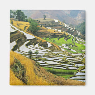 Imán Asia, China, Yunnan, prefectura de Yuxi; Yuanjiang