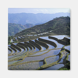 Imán Asia, China, Yunnan, Yuanyang. Escabroso