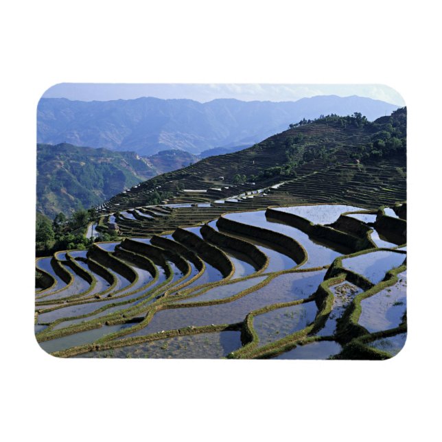 Imán Asia, China, Yunnan, Yuanyang. Escabroso (Horizontal)