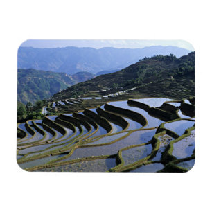 Imán Asia, China, Yunnan, Yuanyang. Rugoso