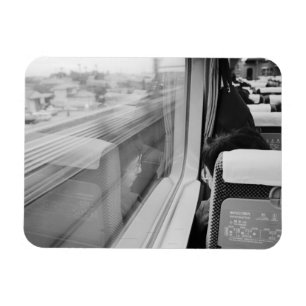Imán Asia, Japón. A bordo del tren bala Shinkansen