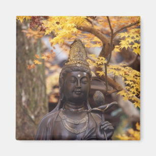 Imán Asia, Japón, Buda
