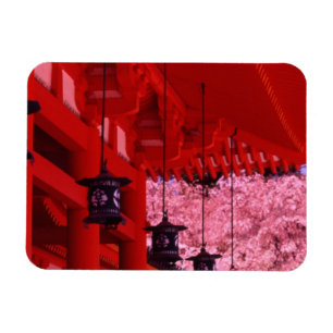 Imán Asia, Japón, Kioto, Santuario Heian en primavera.