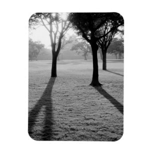 Imán Asia, Japón, Kumamoto. Amanecer sobre Kumamoto, jo