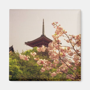 Imán Asia, Japón, Kyoto, templo Kiyomizu en primavera