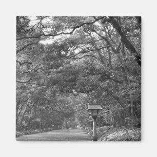 Imán Asia, Japón, Tokio, terrenos del santuario Meiji,