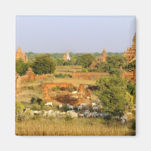 Imán Asia, Myanmar (Birmania), Bagan (Pagan). Pasos de 