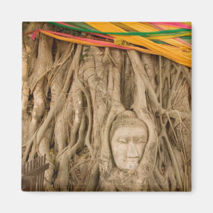Imán Asia, Tailandia, Siam, Buda en surcos de árbol en