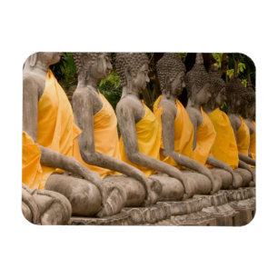 Imán Asia, Tailandia, Siam, Budas en Ayutthaya