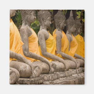 Imán Asia, Tailandia, Siam, Budas en Ayutthaya