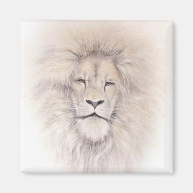 Imán Aslan (Frente)