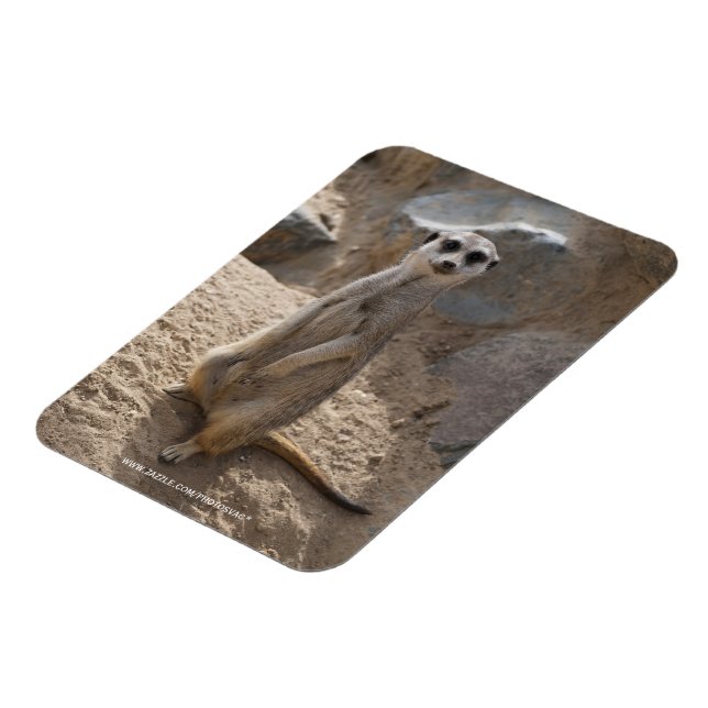 Imán Asombroso Meerkat (Lado Izquierdo)