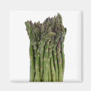 Imán Asparagus Magnet