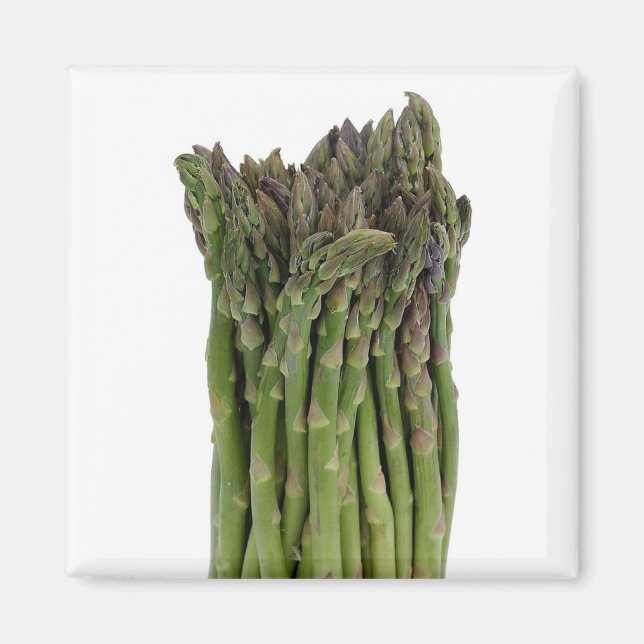 Imán Asparagus Magnet (Frente)
