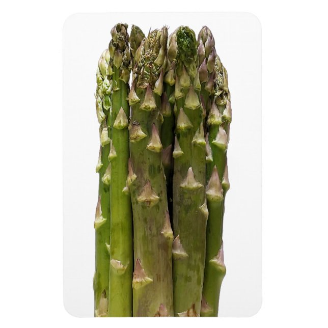 Imán Asparagus Photo Magnet (Vertical)