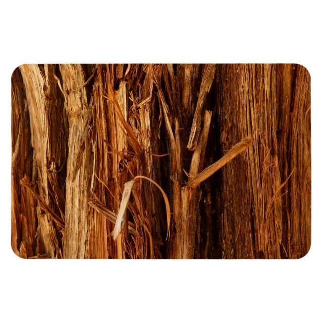 Imán Aspecto de la corteza de madera con textura de ced (Horizontal)