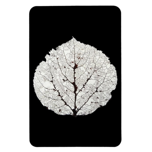 Imán Aspen Leaf Skeleton 1 (Vertical)
