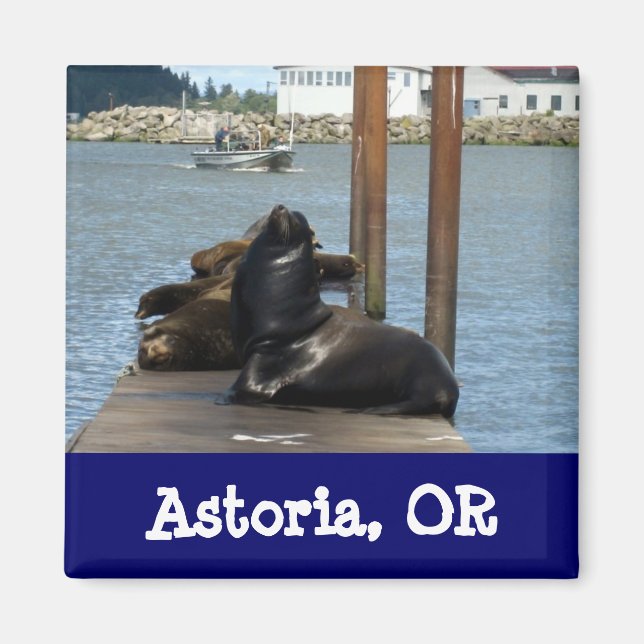 Imán Astoria Oregon Sealions (Frente)