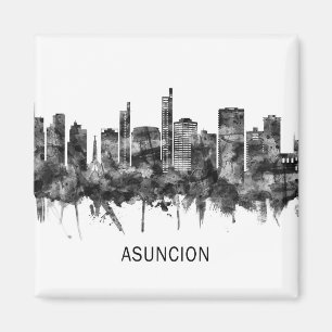 Imán Asuncion Paraguay Skyline BW