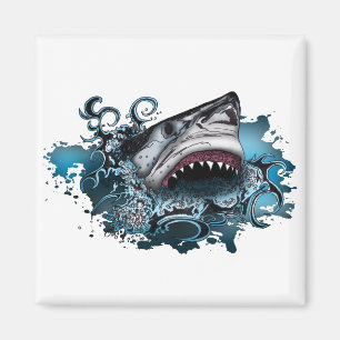 Imán Ataque a tiburones