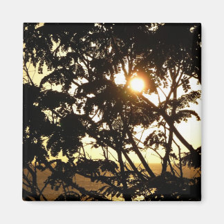 Imán Atardecer a través de árboles en fotografía tropic