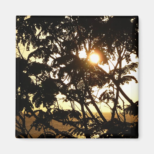 Imán Atardecer a través de árboles en fotografía tropic (Frente)