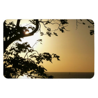 Imán Atardecer a través de árboles II Fotografía tropic