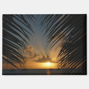 Imán Atardecer a través de frondas de palmeras Paisaje