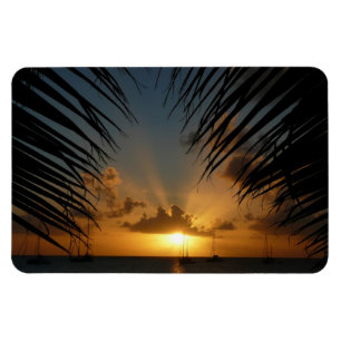 Imán Atardecer a través de la orilla de la palma