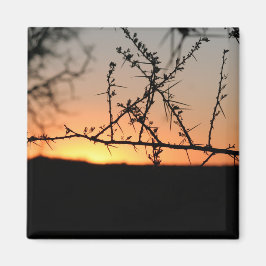 Imán Atardecer africano con espinosa silueta de árbol d