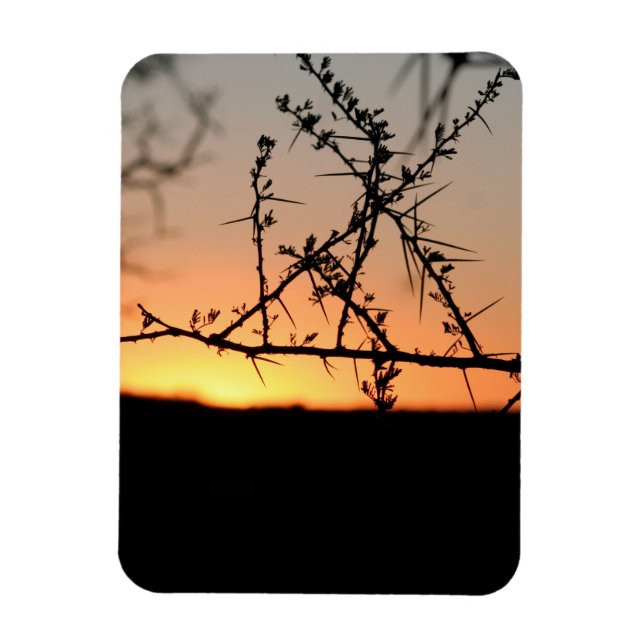 Imán Atardecer africano con espinosa silueta de árbol d (Vertical)