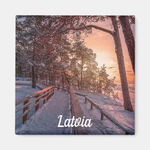 Imán Atardecer de invierno en un bosque de pinos cerca 