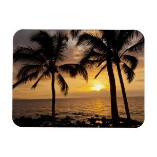Imán Atardecer de palmera