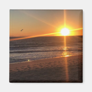 Imán Atardecer en Newport Beach, California