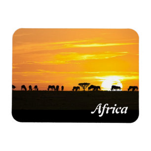 Imán Atardecer en Serengeti