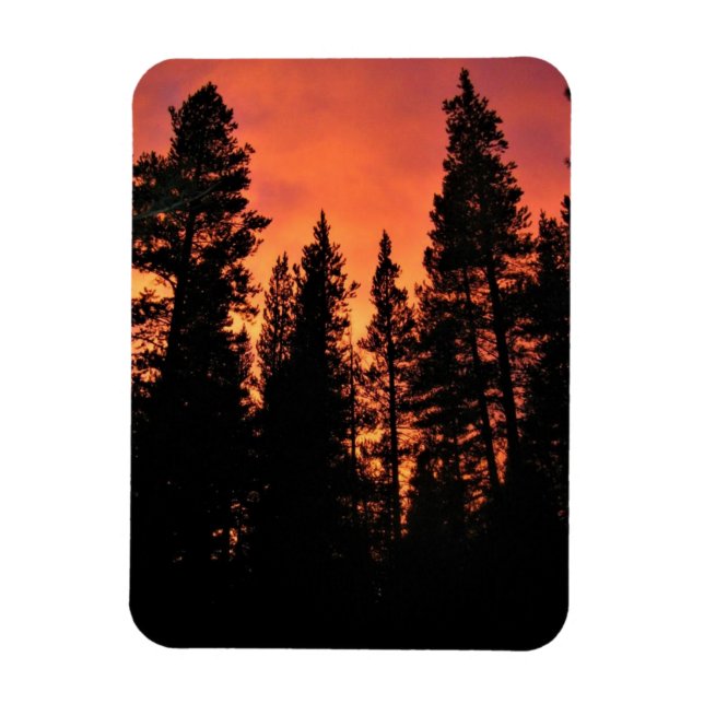 Imán Atardecer en Tuolumne Meadows, Yosemite, CA (Vertical)