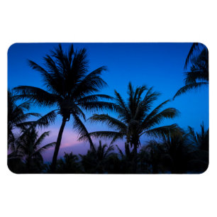 Imán Atardecer Tropical y Palma