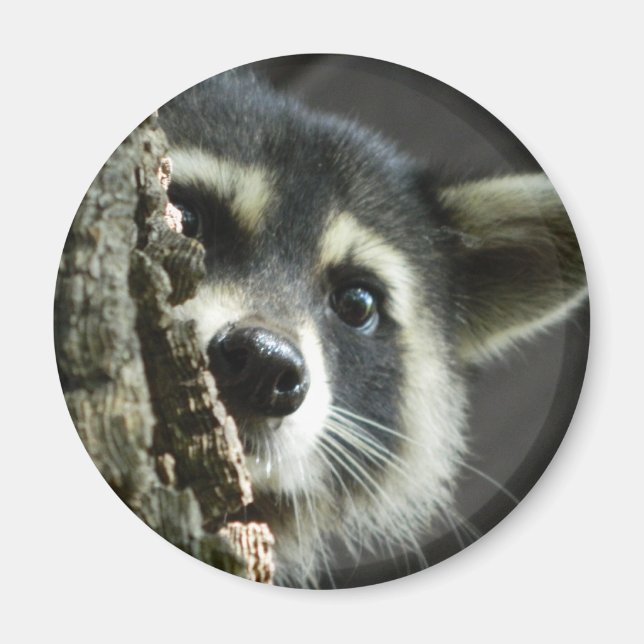 Imán Atascado (Frente)