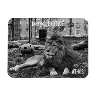 Imán Atenos -