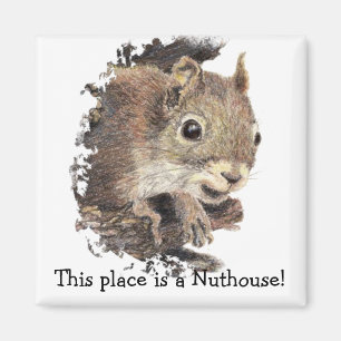 Imán ¡Atesora este lugar es un Nuthouse! Humor
