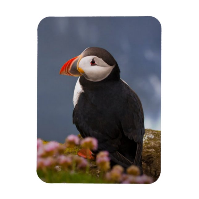 IMÁN ATL PUFFIN (Vertical)
